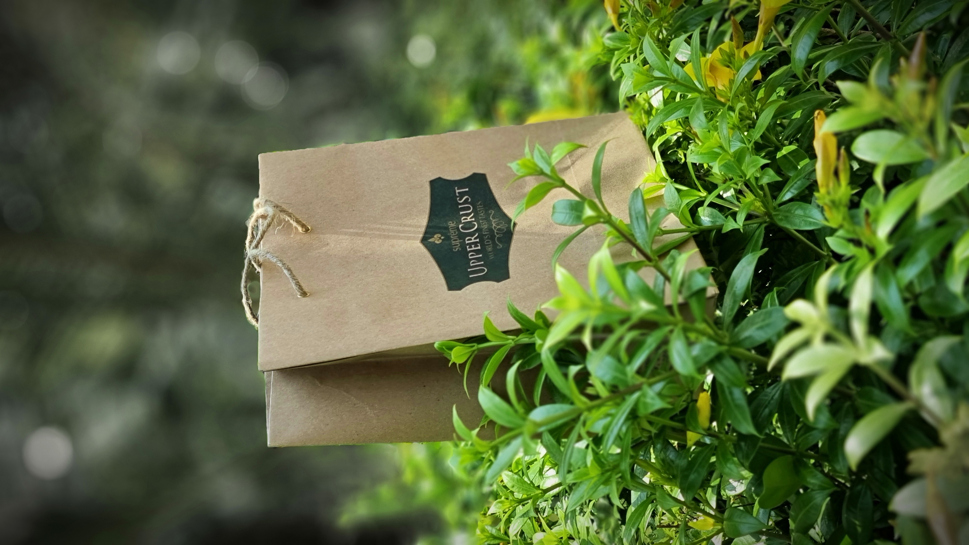 Paper Bag